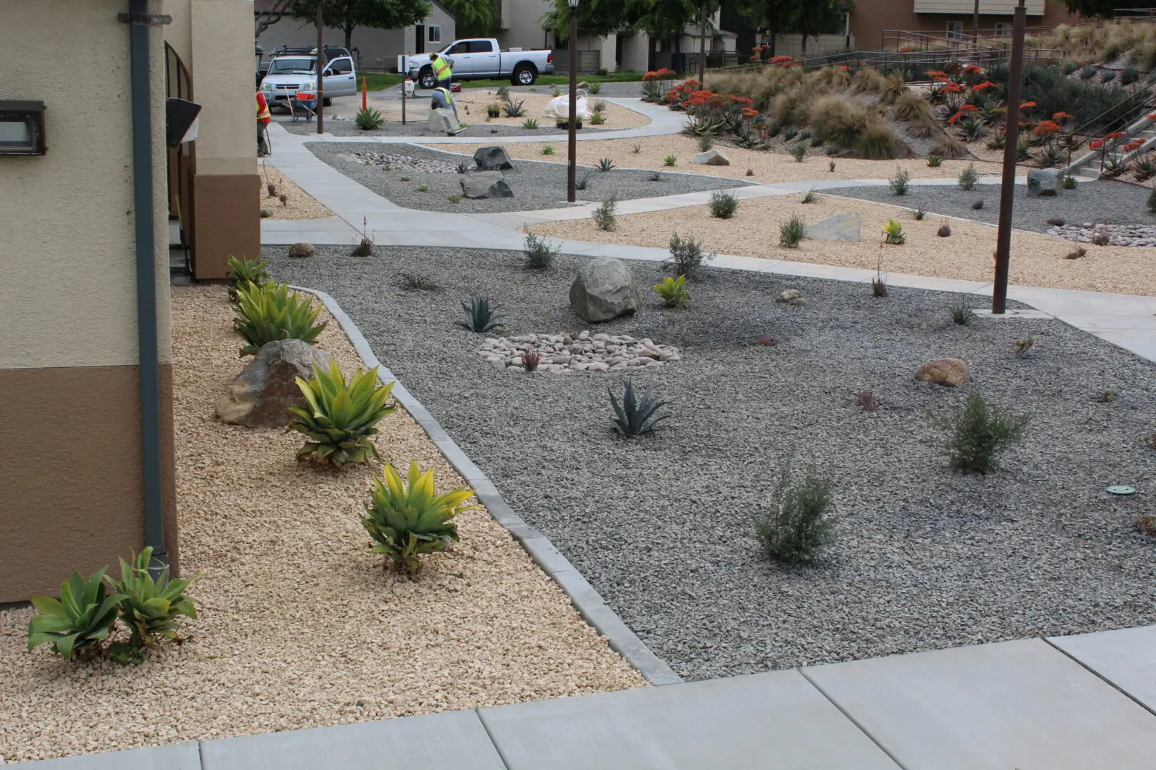 A garden with many plants and gravel