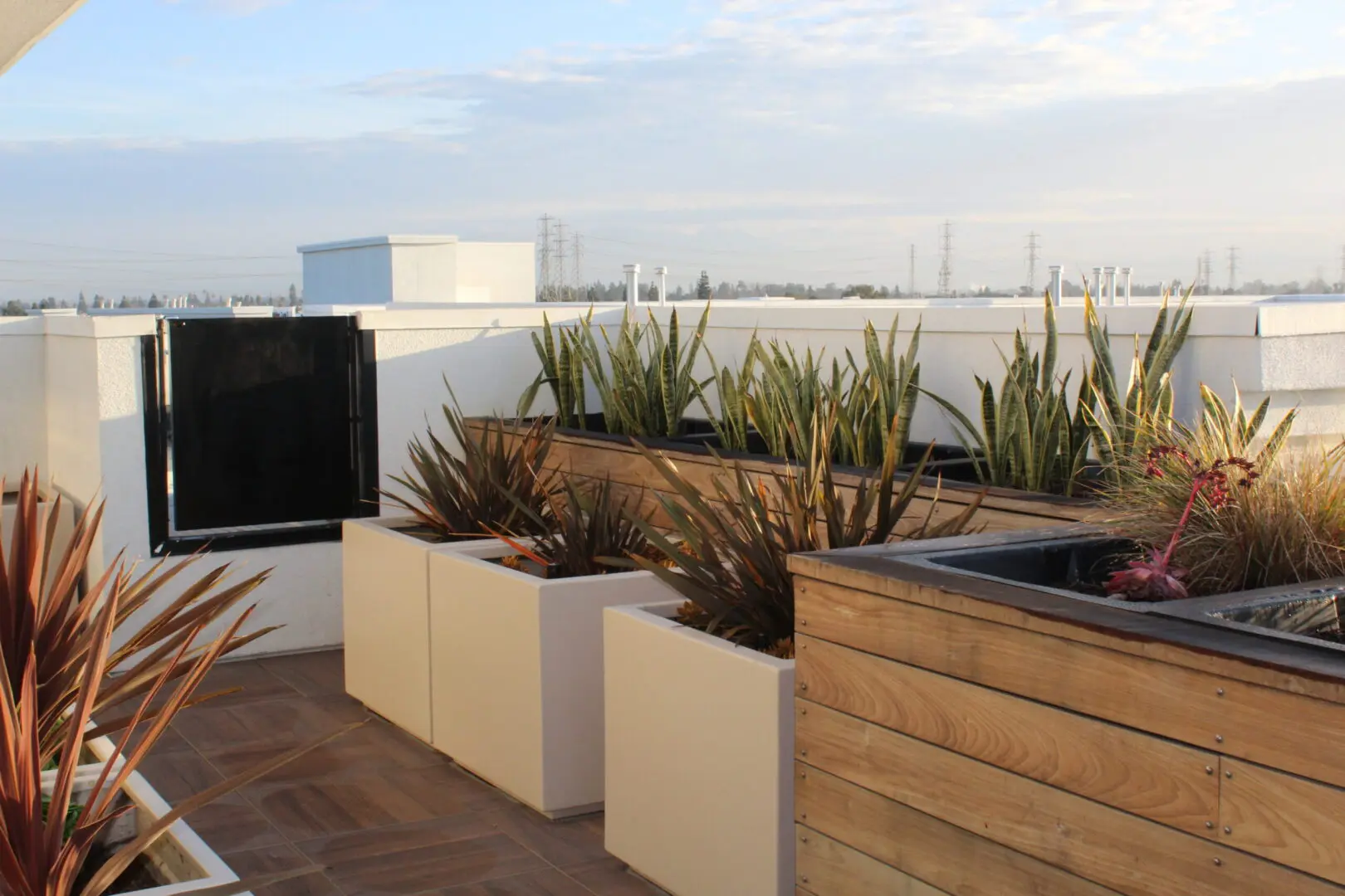 A rooftop deck with planters and plants on the roof.