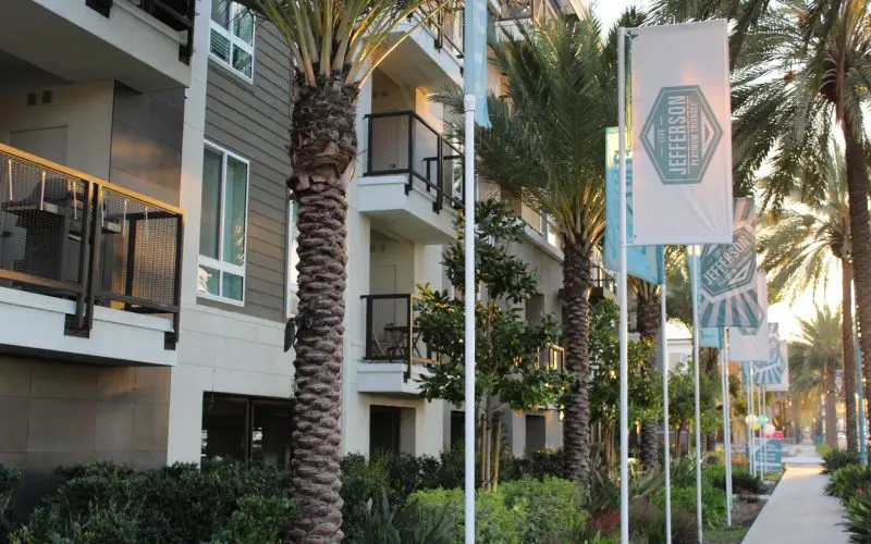 A group of palm trees in front of a building.