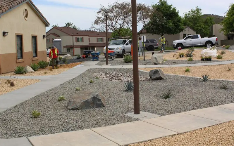 A couple of people are standing in the yard