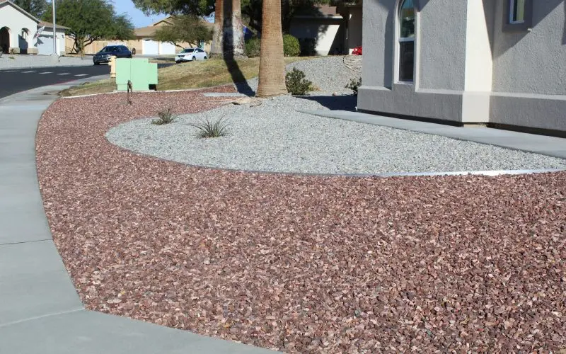 A garden with gravel and plants in the yard.