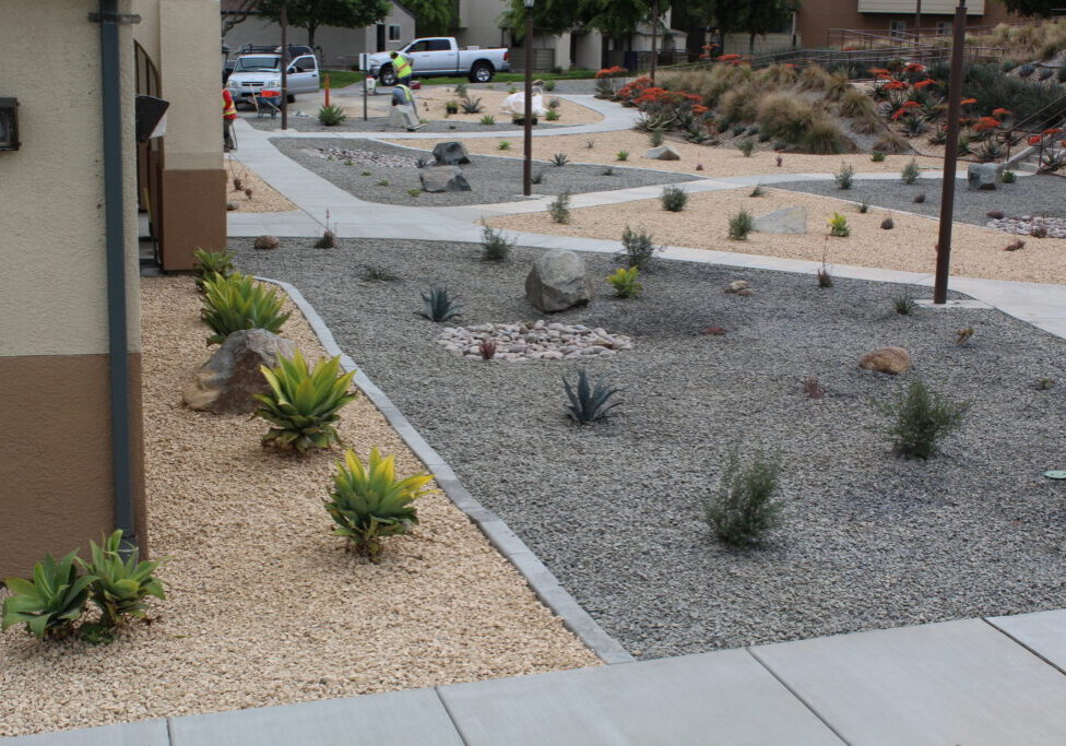 A garden with many plants and gravel