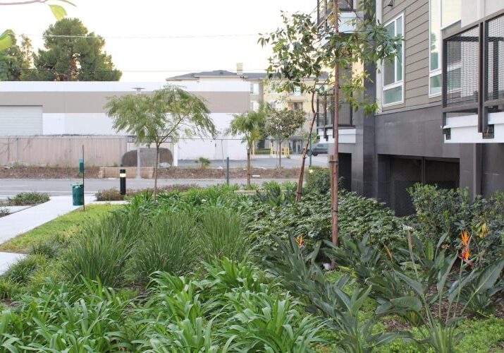 A green garden with trees and bushes in front of a building.