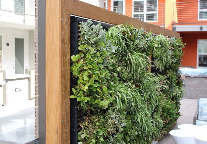 A green wall with plants growing on it